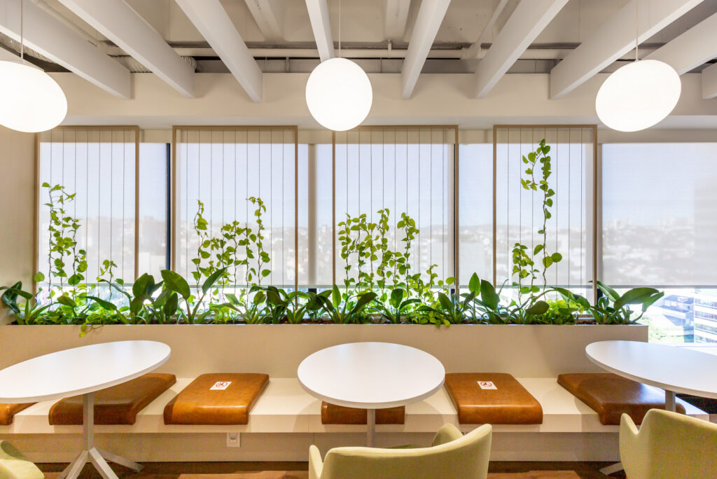 PORTFOLIO - wall in_10