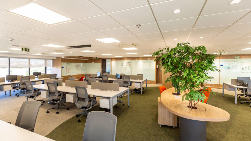 PORTFOLIO - wall in_6